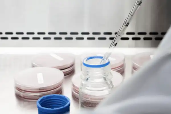 Une sécurité alimentaire optimale, pour votre tranquillité Votre confiance est précieuse. C’est pourquoi nous mettons en place des contrôles renforcés, des protocoles stricts et une traçabilité complète, de la réception des matières premières jusqu’au produit fini.